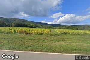 14083 Traphill Rd, Traphill, NC 28685