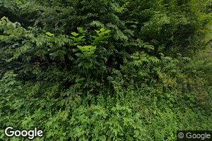 31 State Route 10, Harts, WV 25524
