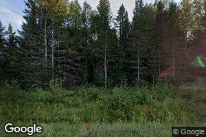 2557 Worth Rd, Moran, MI 49760