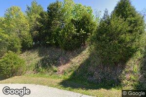 821 Us Highway 65, Walnut Shade, MO 65771