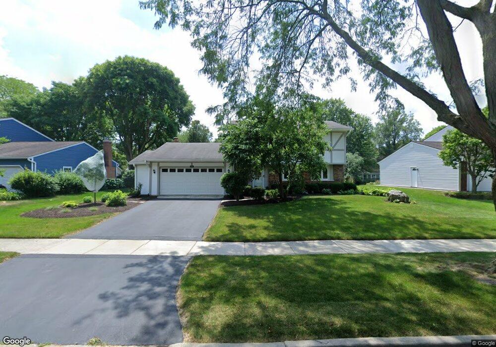 1010 Whirlaway Ave, Naperville, IL 60540 - photo 1