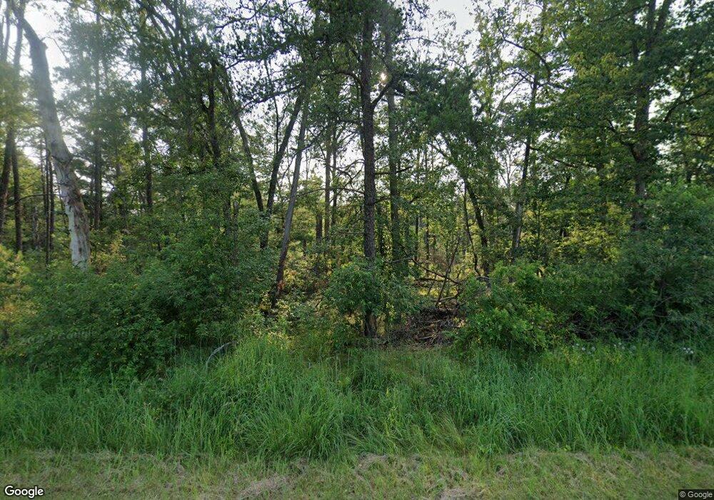 9467 S Forman Rd, Baldwin, MI 49304 - photo 1