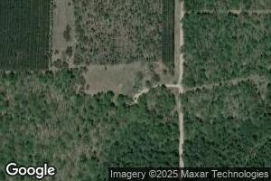 7935 S Nelson Rd, Chase, MI 49623