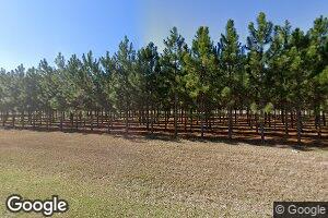 3321 Bethel Rd, Brinson, GA 39825