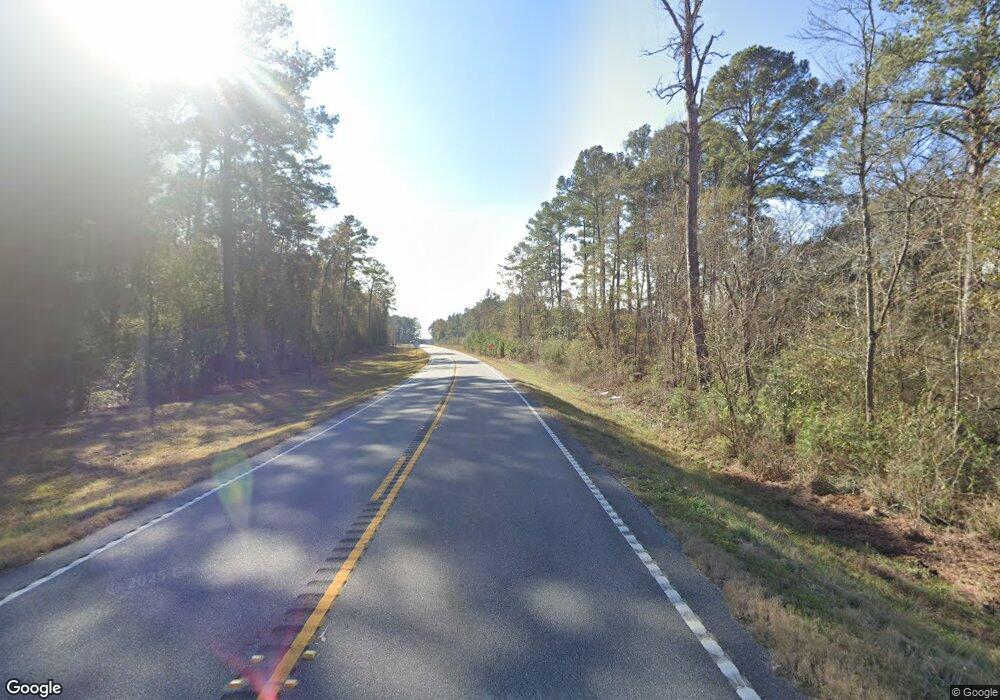 000 Hwy 202 Hwy, Other Georgia, GA 31773 - photo 1