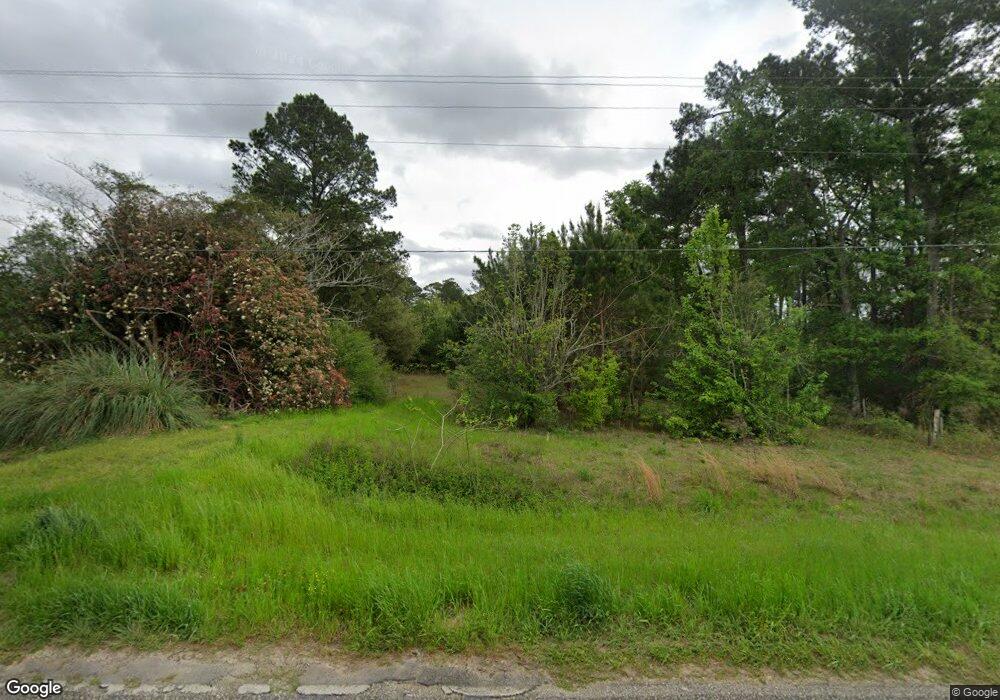 250 Old Newton Rd, Pelham, GA 31779 - photo 1