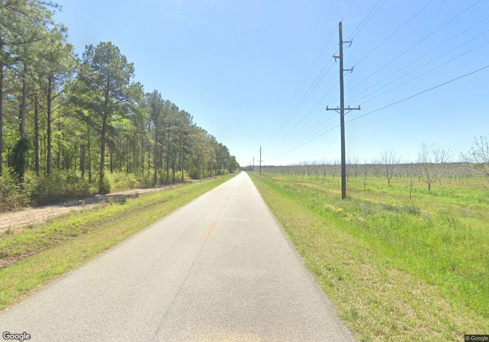 40 Niner Rd, Pelham, GA 31779 - photo 1