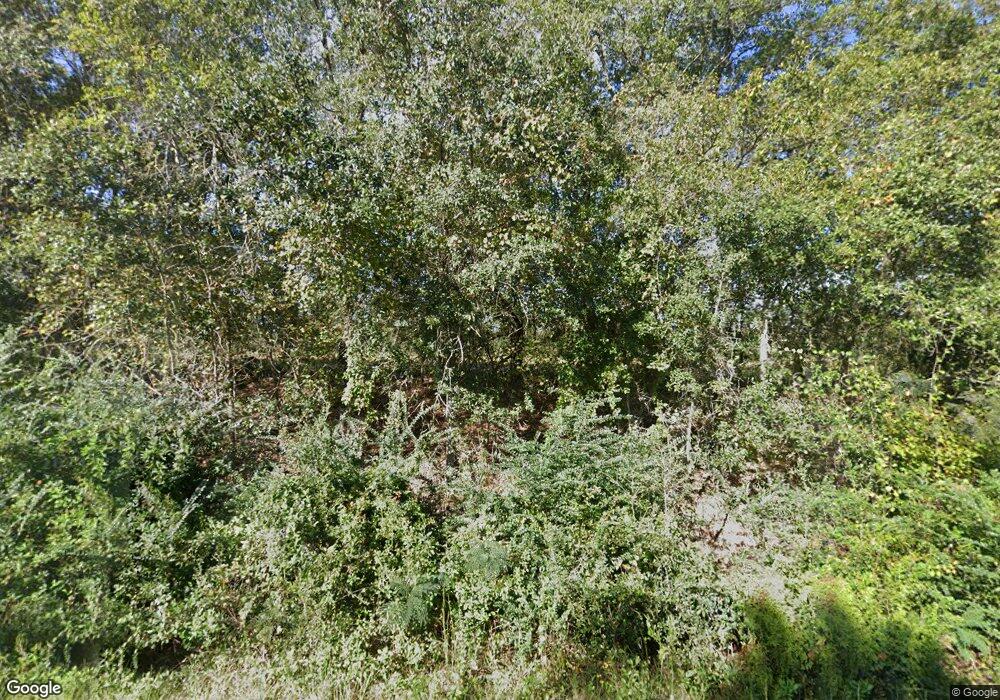 334 Bacon School Rd, Alma, GA 31510 - photo 1