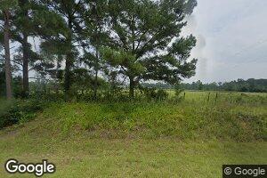 1123 Blue Springs Rd, Pineview, GA 31071