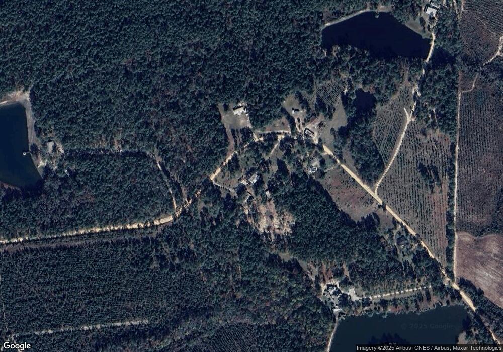 1111 Morris Rd, Ailey, GA 30410 - photo 1