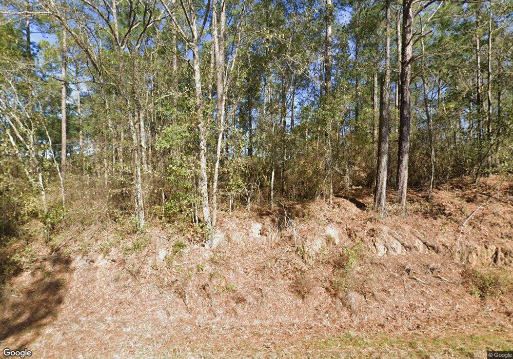 6328 Lower Meigs Rd, Meigs, GA 31765 - photo 1