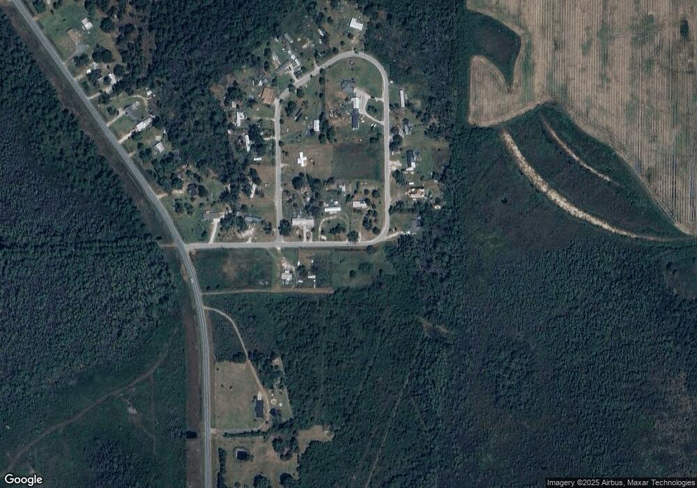 505 Morning Dew Cir, Pearson, GA 31642 - photo 1