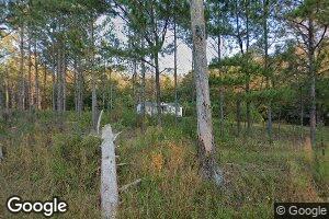 1025 County Road 9, Lisman, AL 36912