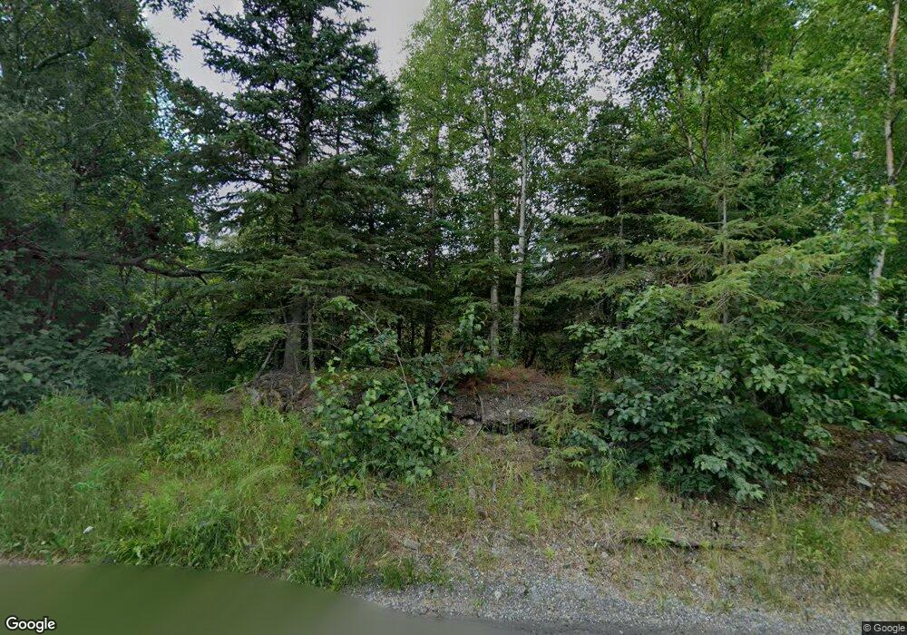 5950 E 156th Ave, Anchorage, AK 99516 - photo 1