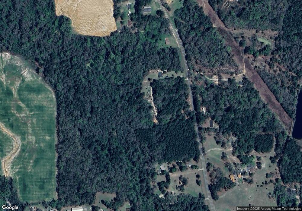 2093 Catfish Ln, Pelham, GA 31779 - photo 1