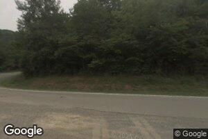 985 Cove Lick Rd, Weston, WV 26452