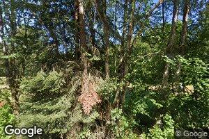 249 Mineral Creek Rd, Morton, WA 98356