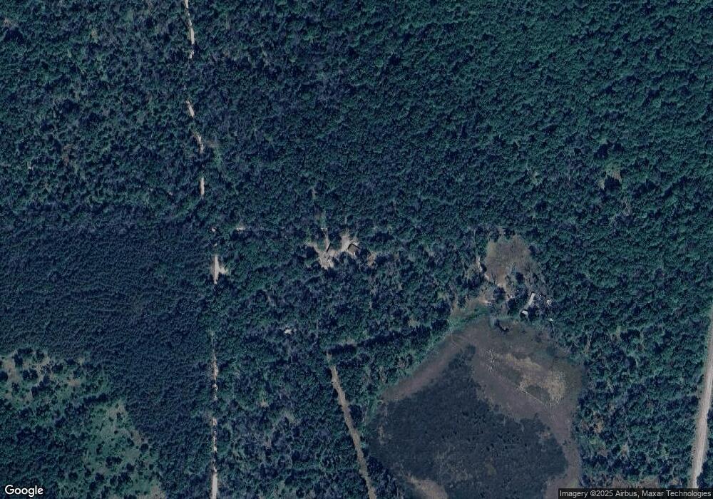 12390 N Bingham Ave, Bitely, MI 49309 - photo 1