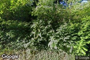 37845 Butcher Rd, Leetonia, OH 44431