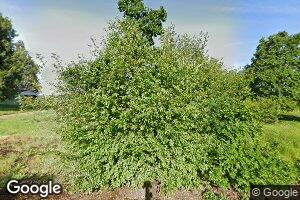 25378 Old River Rd, Monroe, OR 97456