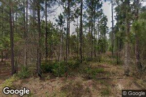 1261 Willingham Rd, Abbeville, GA 31001