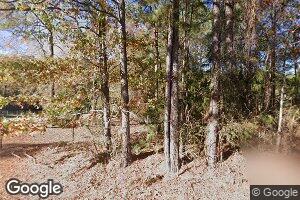 980 Vic Allen Rd, Downsville, LA 71234