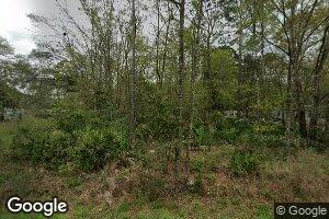 1802 Boots Harrison Rd, Hortense, GA 31543