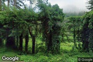 11242 Hwy 36, Mapleton, OR 97453