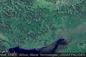 135 Bog Brook Way, Cutler, ME 04626