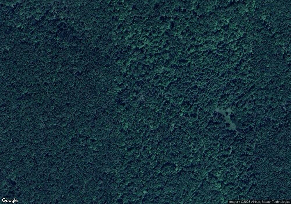 13009 N Baldwin Dr, Bitely, MI 49309 - photo 1