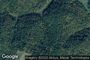395 Critchfield Hollow Rd, Burton, WV 26562