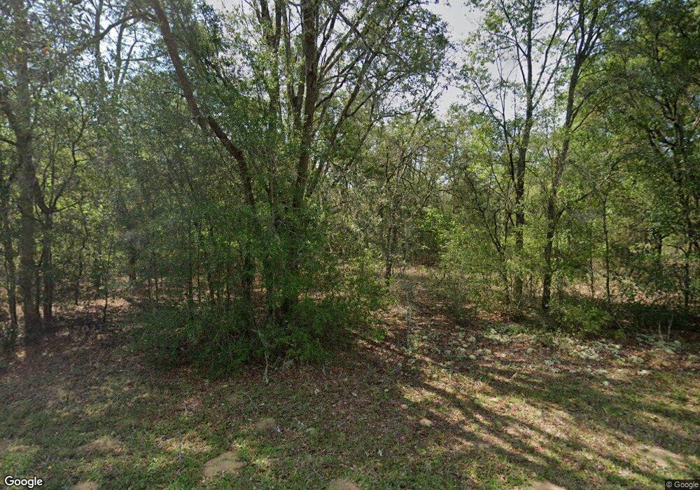 280 W Brimson Place, Citrus Springs, FL 34434 - photo 1