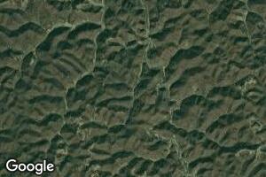 383 Left Fork Joels Branch Rd, Genoa, WV 25517