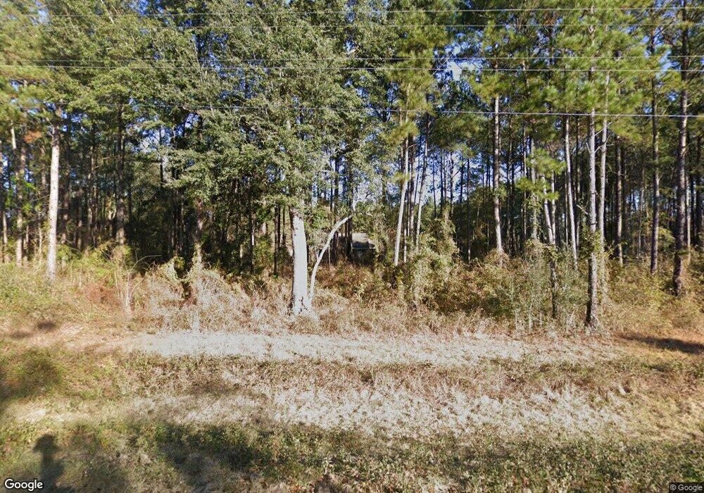 3129 Old Whigham Rd, Bainbridge, GA 39817 - photo 1