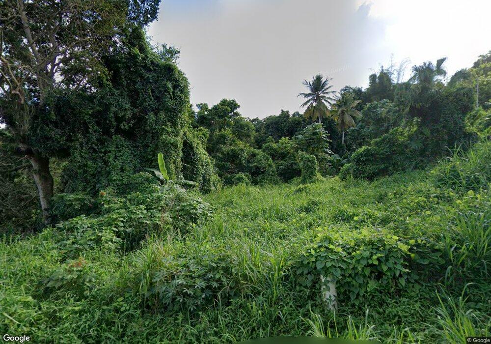 Carr. 919, Juncos, PR 00777 - photo 1