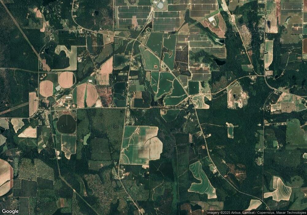 000 Cedar Grove Rd, Climax, GA 39834 - photo 1