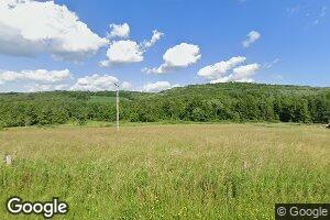 2206 Gold Rd, Genesee, PA 16923
