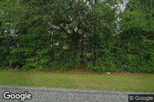 1059 Spence Rd, Pelham, GA 31779