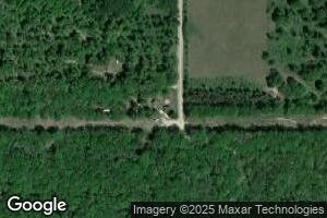 9755 S Bonney Rd, Chase, MI 49623