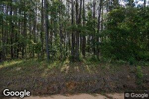 217 Jack Vickers Rd, Willacoochee, GA 31650