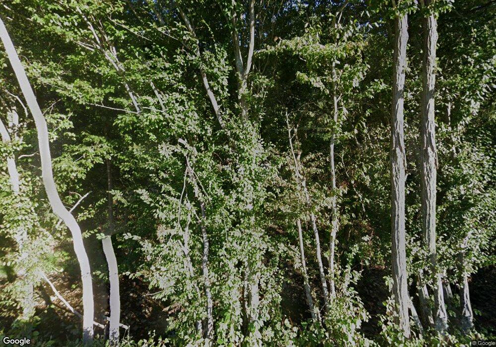 2076 Etlan Rd, Etlan, VA 22719 - photo 1