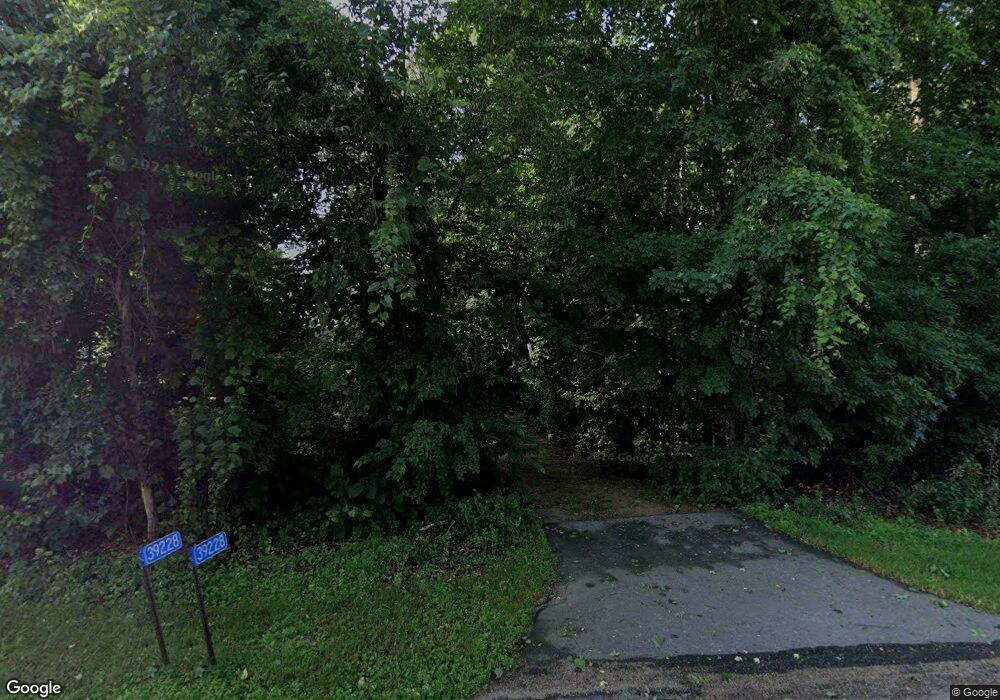 39228 County Highway 1, Richville, MN 56576 - photo 1