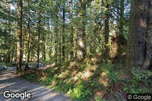11324 Foss River Rd NE, Skykomish, WA 98288