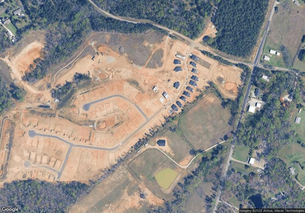 258 Chapin Place Way, Chapin, SC 29036 - photo 1