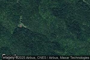 156 Phillip Cove Rd, Tomahawk, KY 41262
