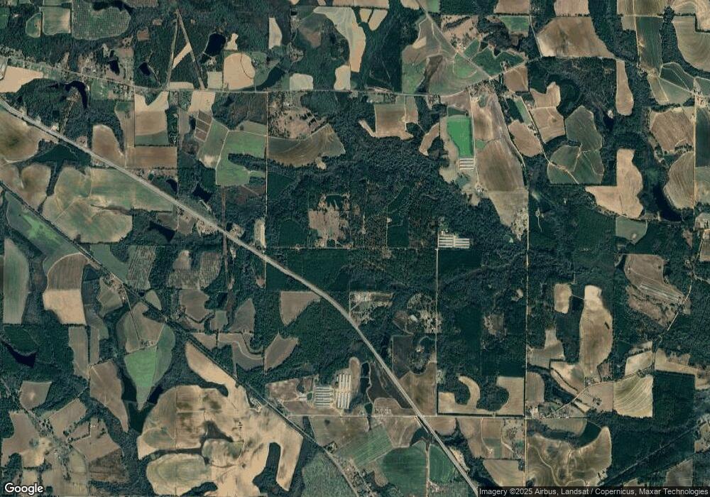 74.88 AC Hurst Tate Rd, Meigs, GA 31765 - photo 1