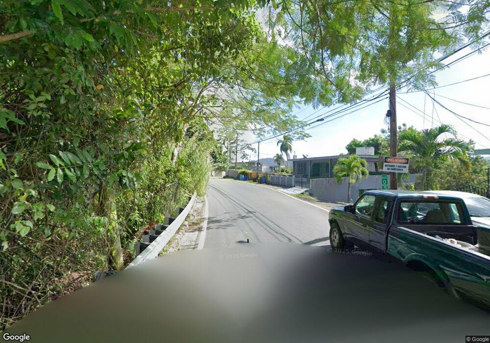 - Bo Quemados Carretera Pr 788, San Lorenzo, PR 00754 - photo 1