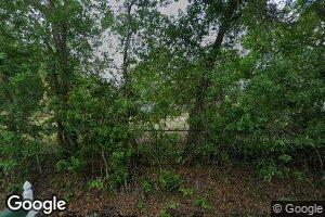 55917 Bay Rd, Astor, FL 32102