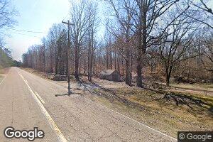 10234 Leapwood Enville Rd, Finger, TN 38334