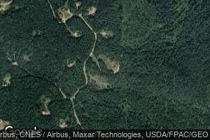 776 Hampshire Woods Loop, Errol, NH 03579
